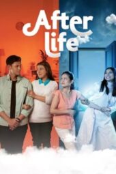 Nonton Film After Life (2023)