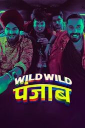 Nonton Film Wild Wild Punjab (2024)